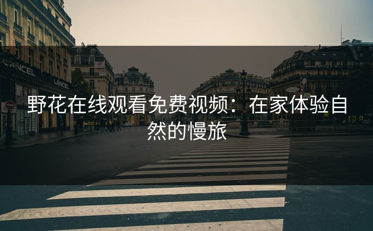 野花在线观看免费视频:在家体验自然的慢旅