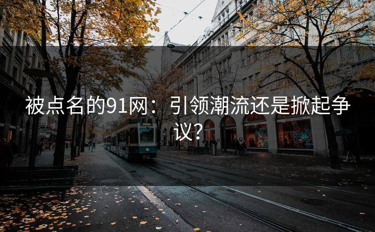 被点名的91网：引领潮流还是掀起争议？